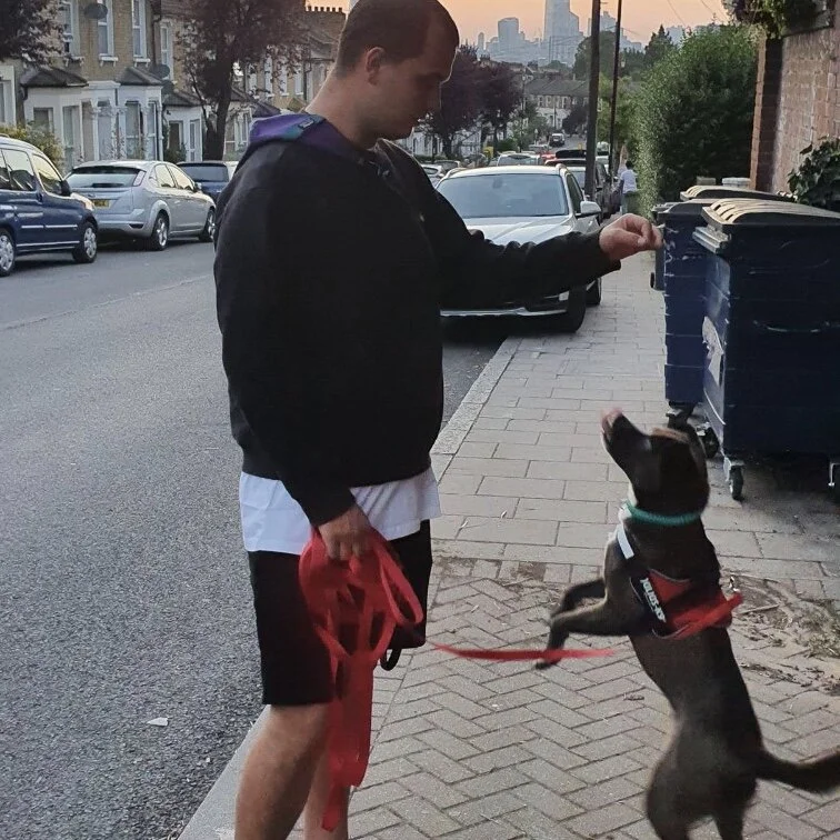 20747585-BDC2-4CDA-8564-D2DAF86E9281