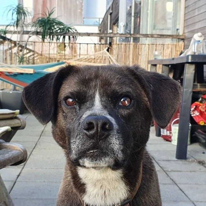 62BD2518-93A4-41BD-A0EB-6FF9AFD0316D