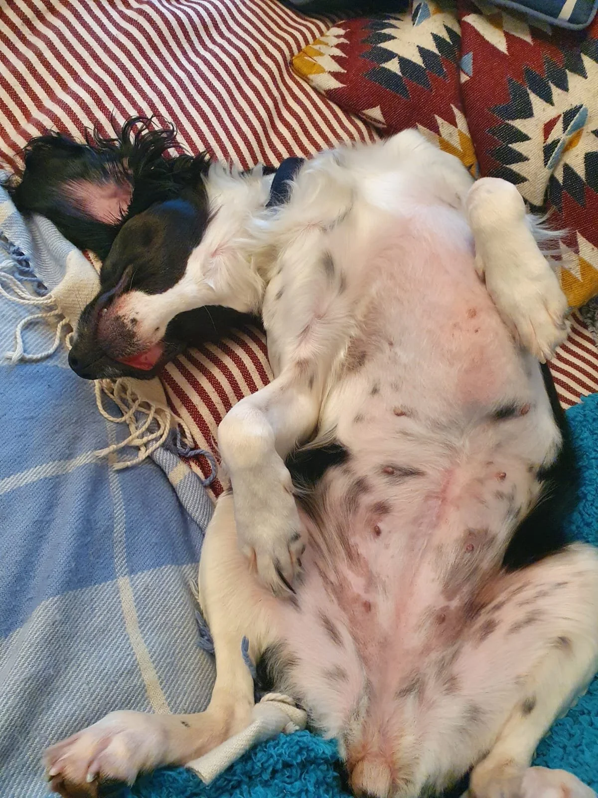 24018003-4AA3-4B86-BE76-6197C445DBE8