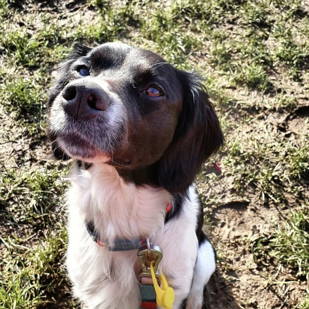 32FDC46A-0517-4D43-B26B-9B7C9B4F2C9E