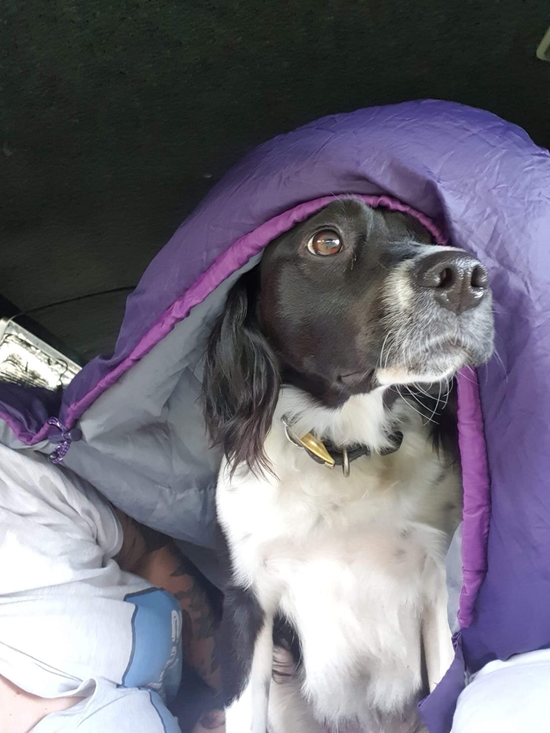 FB6CB6F3-D86B-447E-B2C2-3AD279CF6D2D