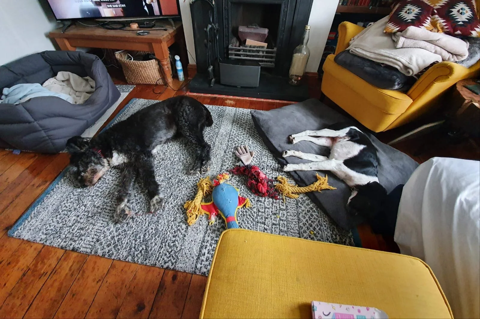 68B88CE6-B941-4294-848F-BB7FD45DAAAB