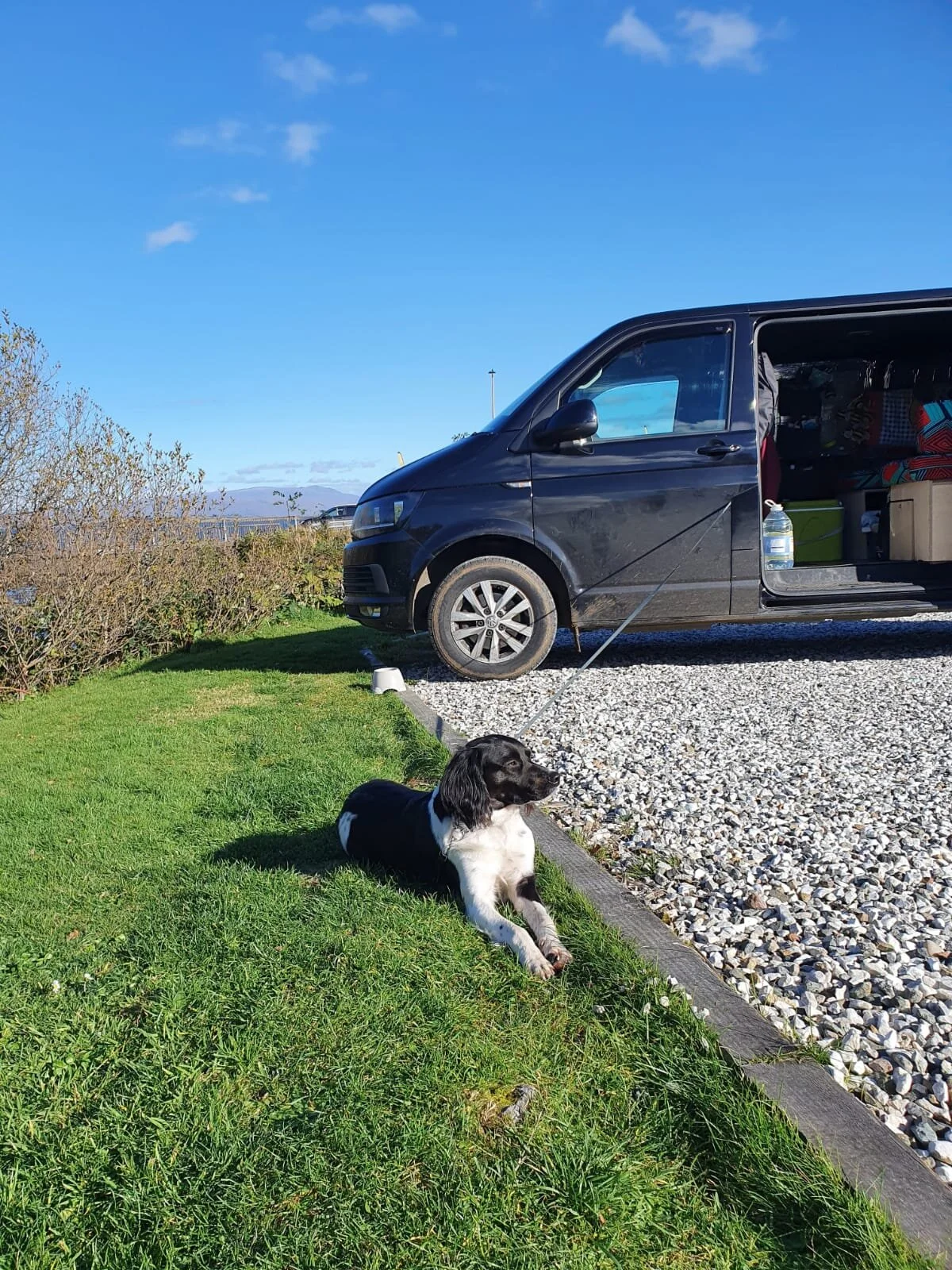 E1037D52-4AA5-42DC-BD57-FB296322B2FE