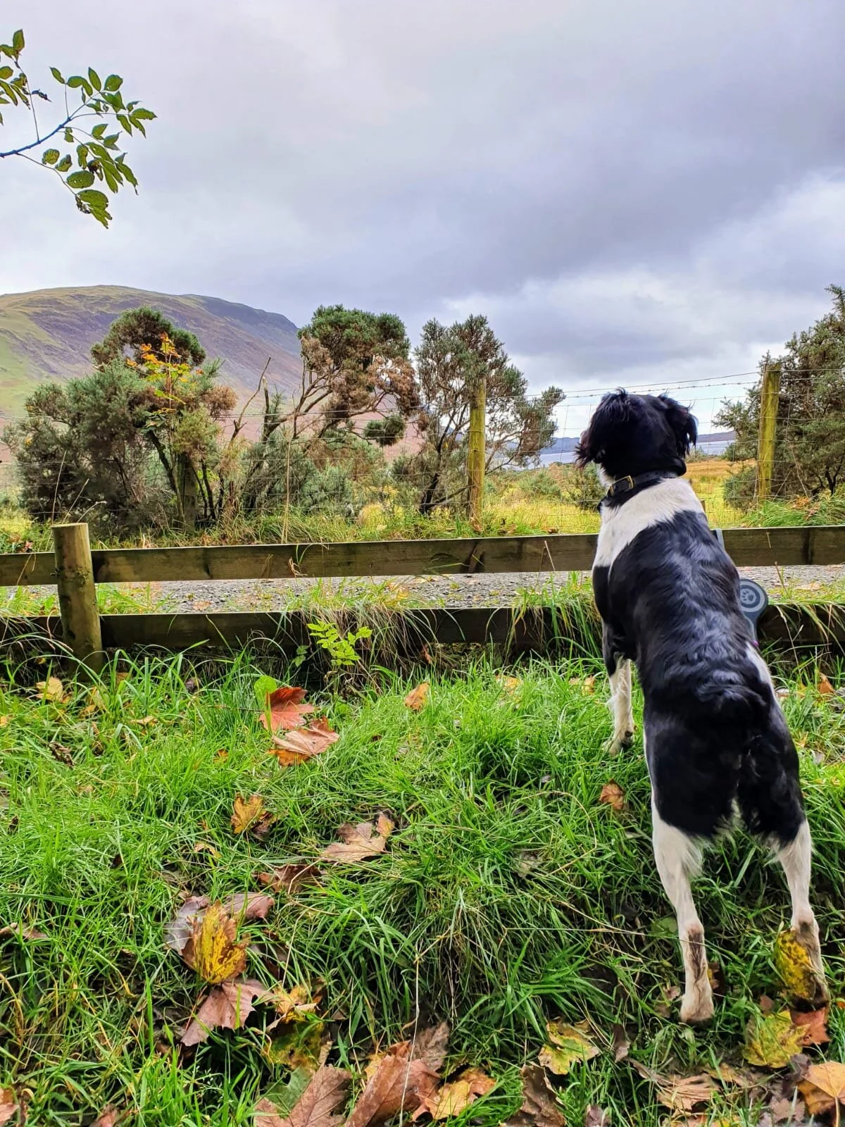 8344B5E4-BAD7-4DFD-9CB1-F51F7A7A21BA