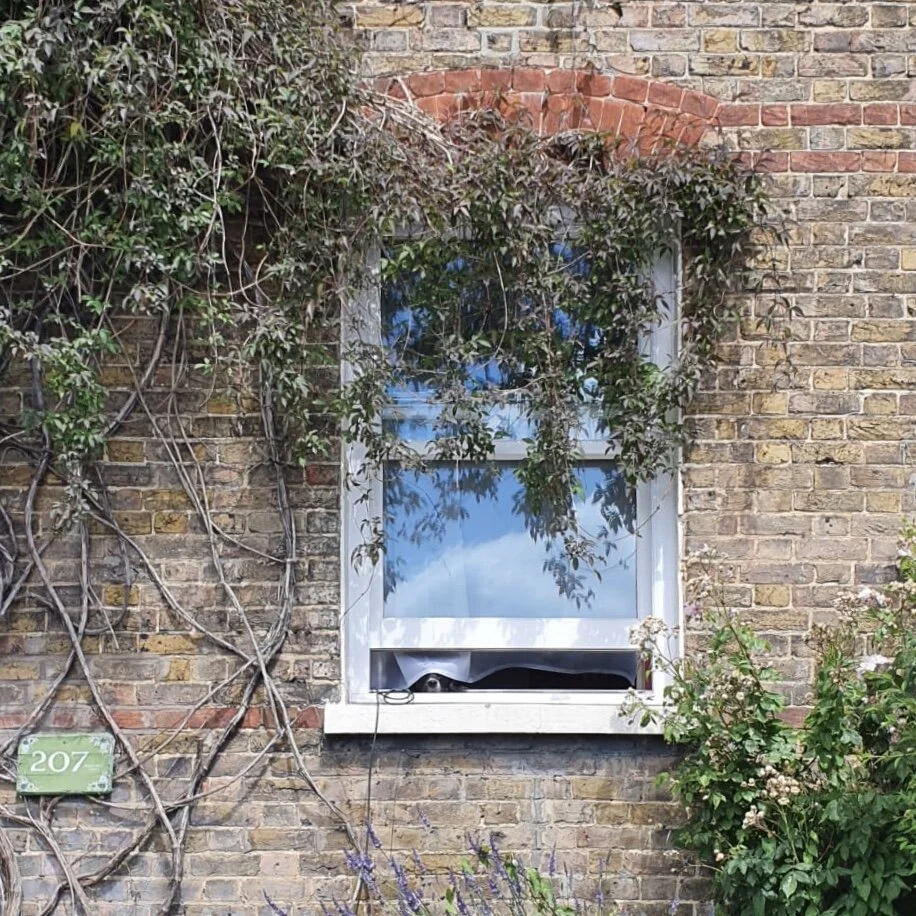 D9C0EF1E-008A-4A8A-8177-FB398010334C