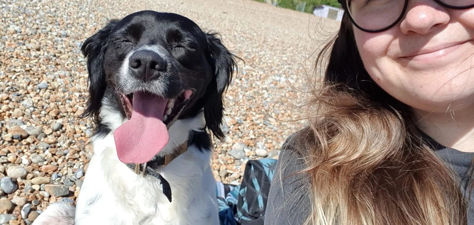 C4543DF4-9FDB-41F3-AE5C-54006D76D4AD