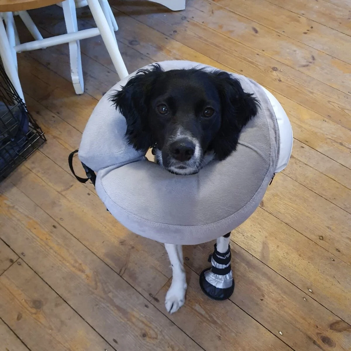 7948DE14-0606-46FC-A64E-AC1D63265702