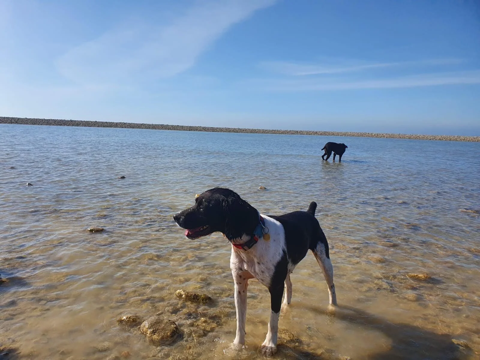 860ABFE4-FFD3-4127-AAD0-9D3DEC372B3A