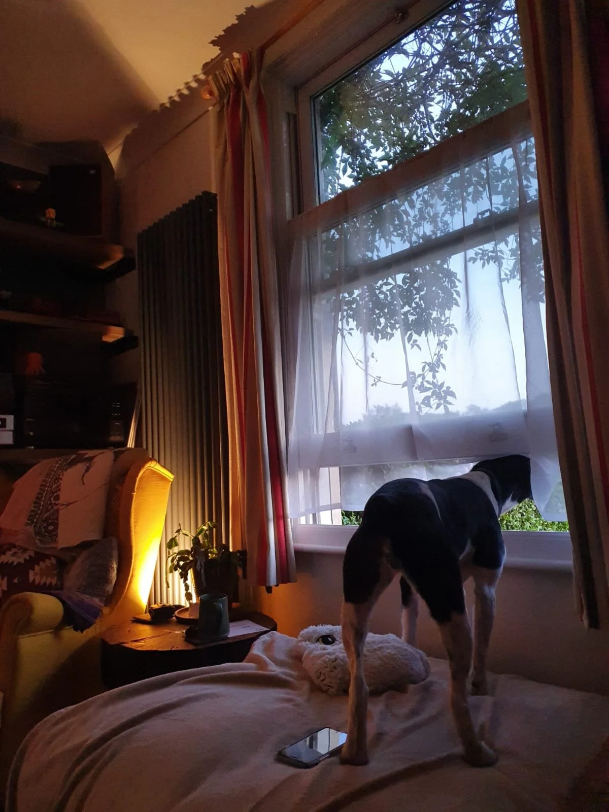 760436E8-1AD5-4027-9E69-319FDC46A21A