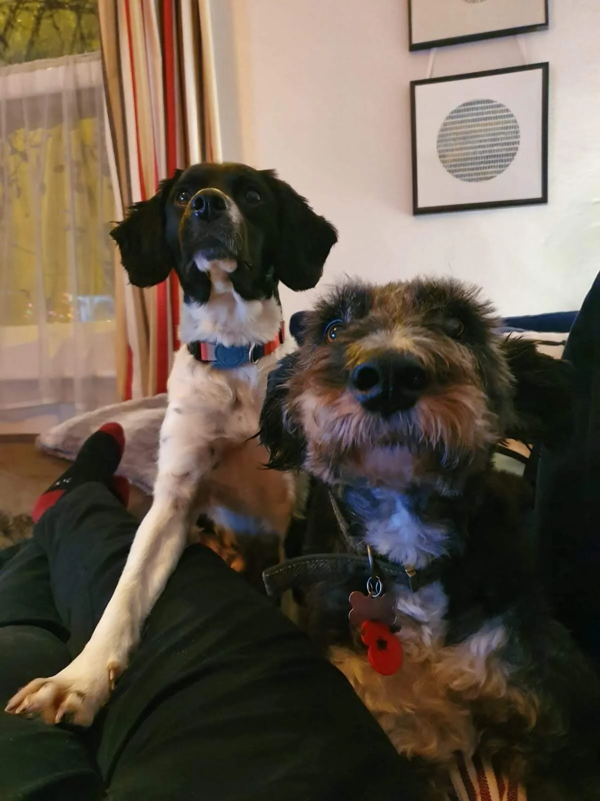 52654BC1-AB89-44B1-8753-FD77F01BEF23