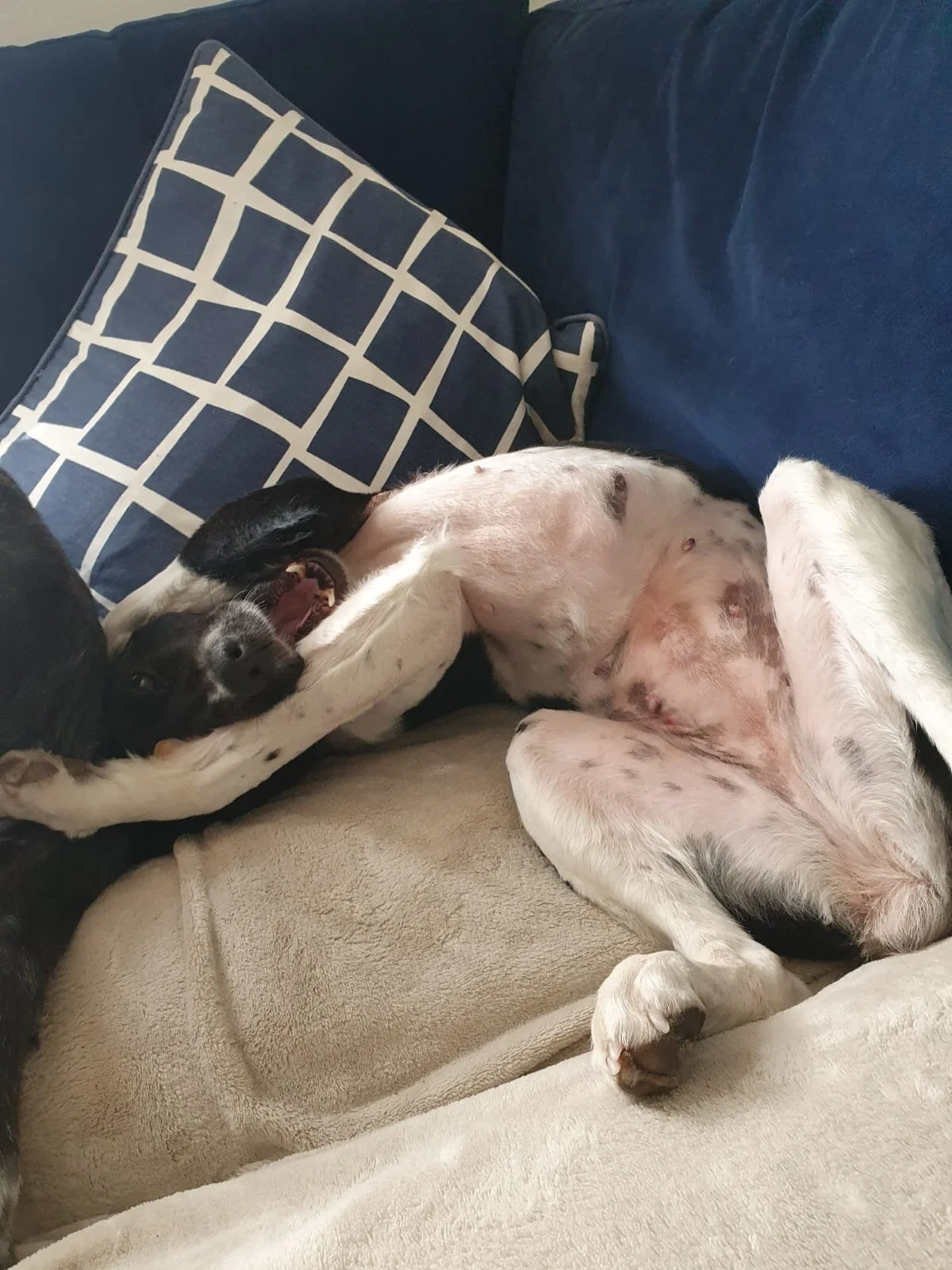 3829A573-E4EB-48F9-9A3E-565AFCF44844