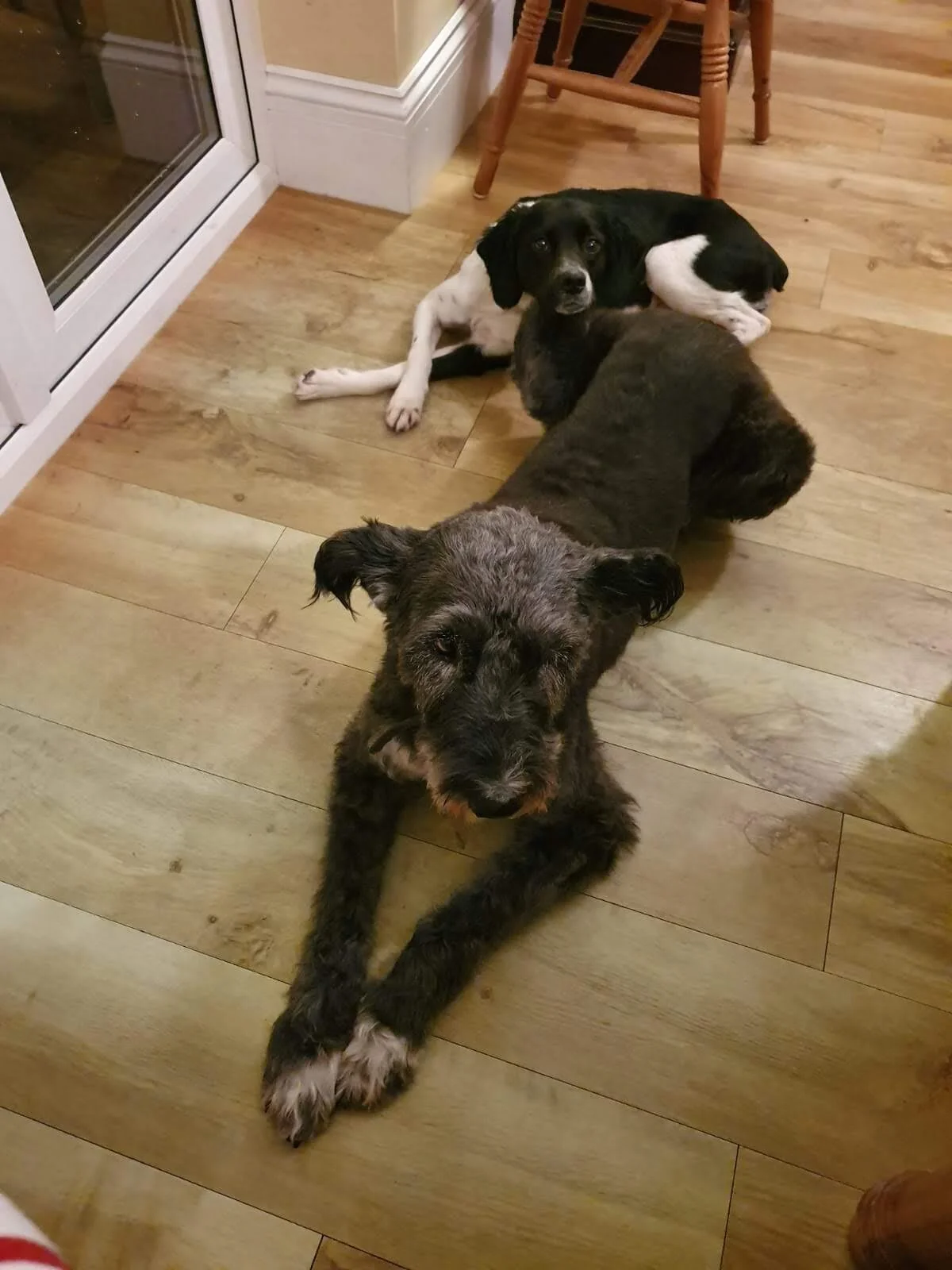 EFBFAC6A-4A40-40BE-83D1-A1675C2E1835