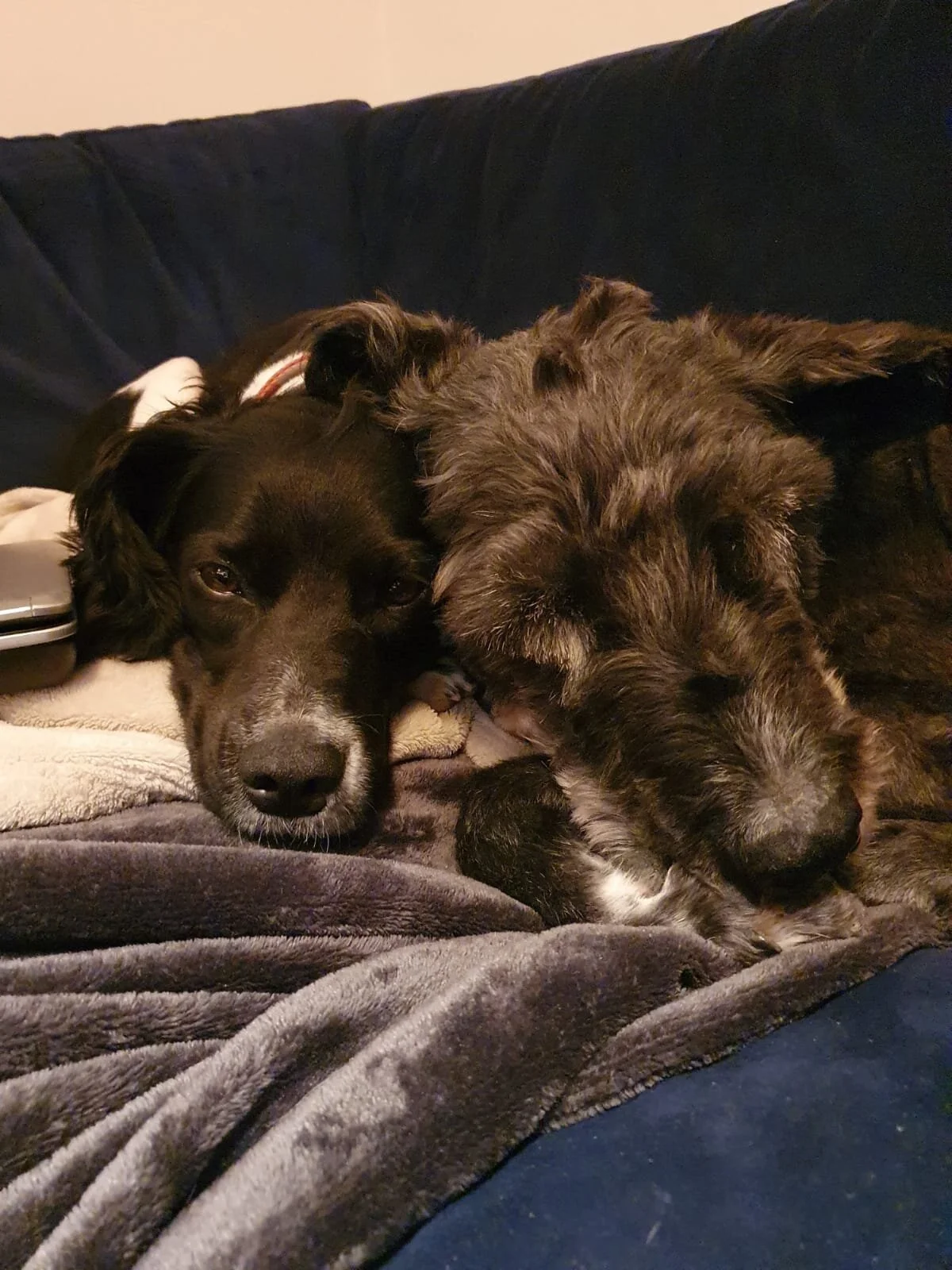 EB86B5CB-F7DB-4338-9752-7F99A397974D