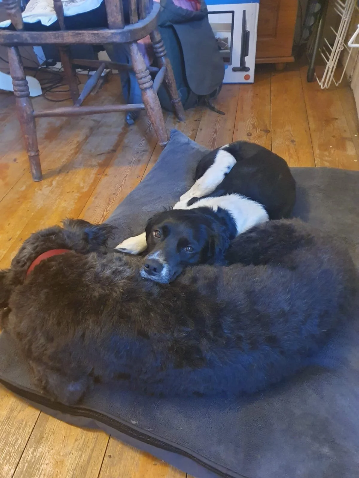 DAD8B3EF-C29D-4721-81D5-61BCA05E0485