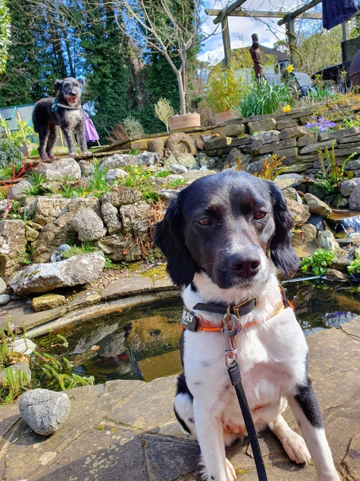 6DE1C2FC-AAB1-453D-A045-9A5E47B55701