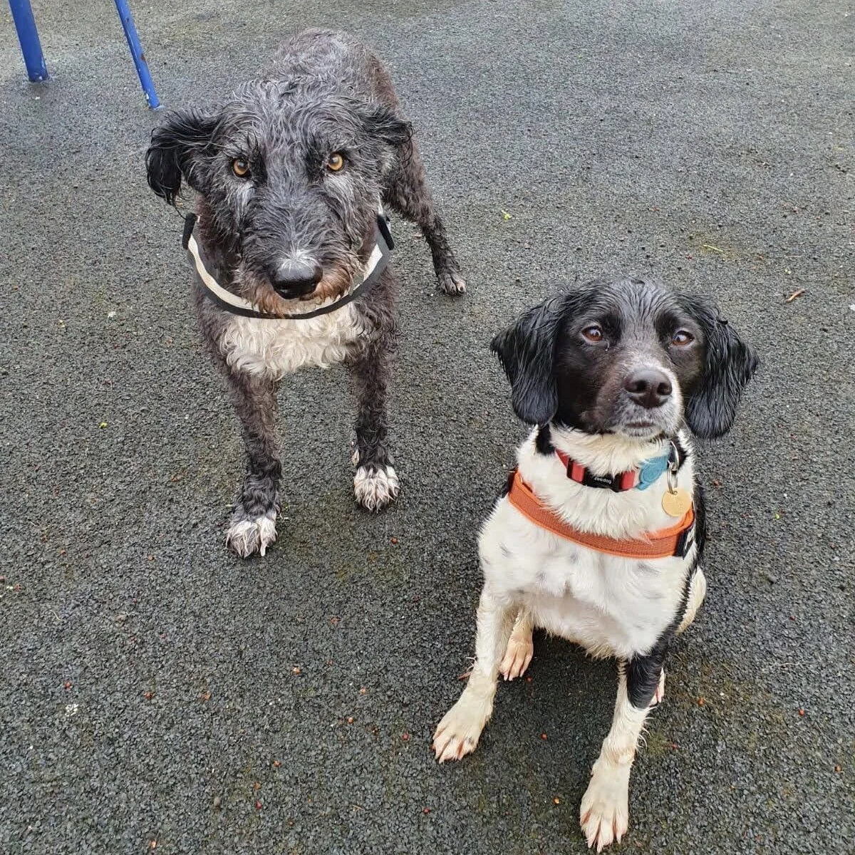 08E71234-968A-412C-9AC2-216762305022