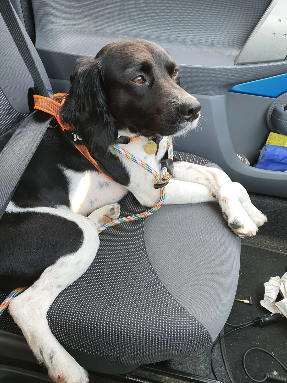 AFAB57C4-C467-474F-95B2-B721F64A0075