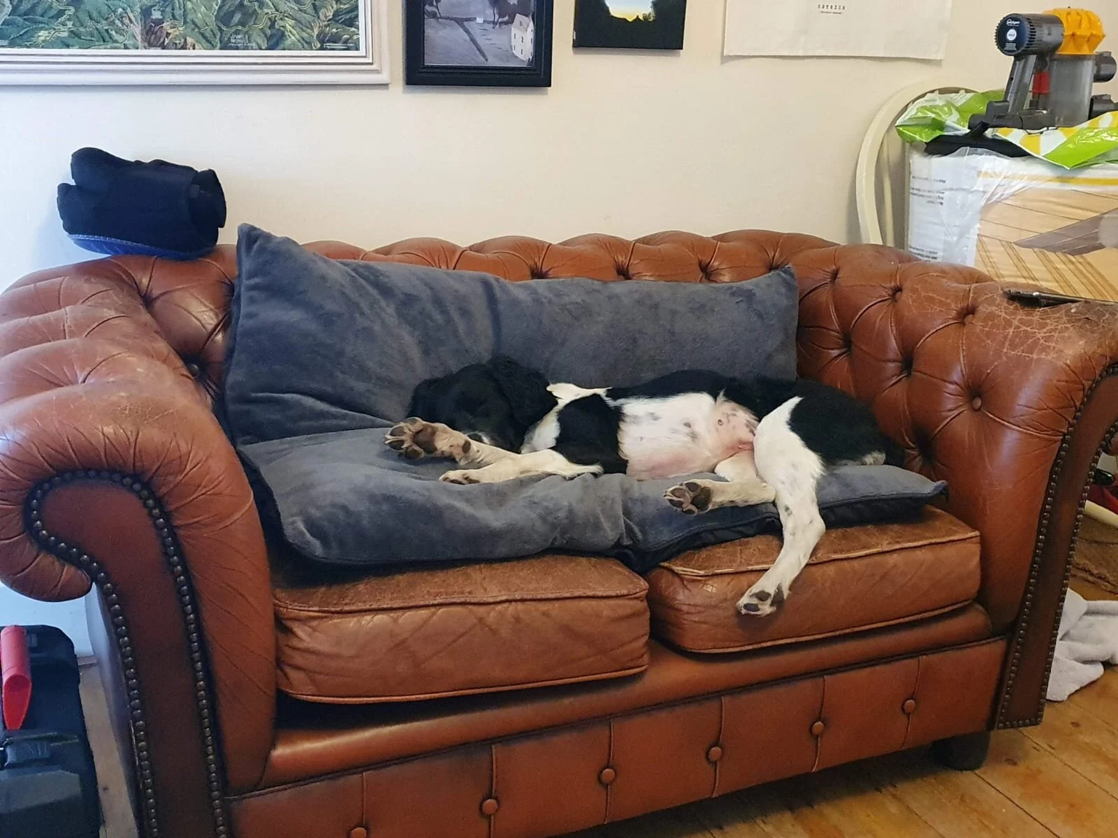 A27E58E4-BC0C-45B3-ABC9-308EE140D37E