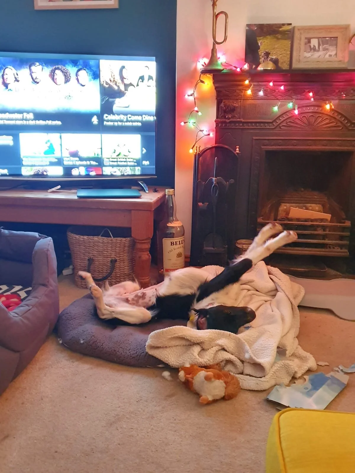 3F0555AB-897F-4195-9762-92F4E01EA91E