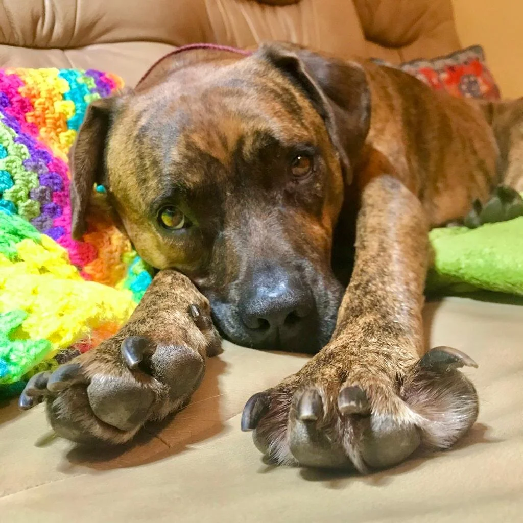 CB3A22A4-6568-4153-ABC6-6F95B6F4436D