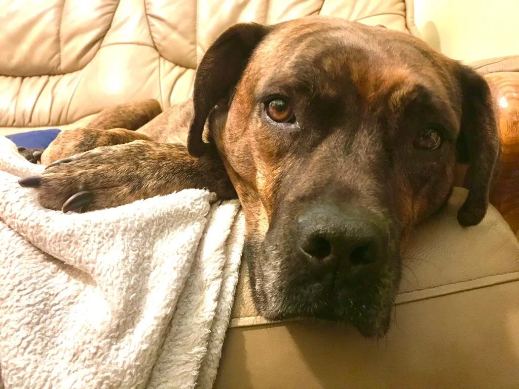 8F25406A-762B-44BF-8AD0-1C5F10F9073B