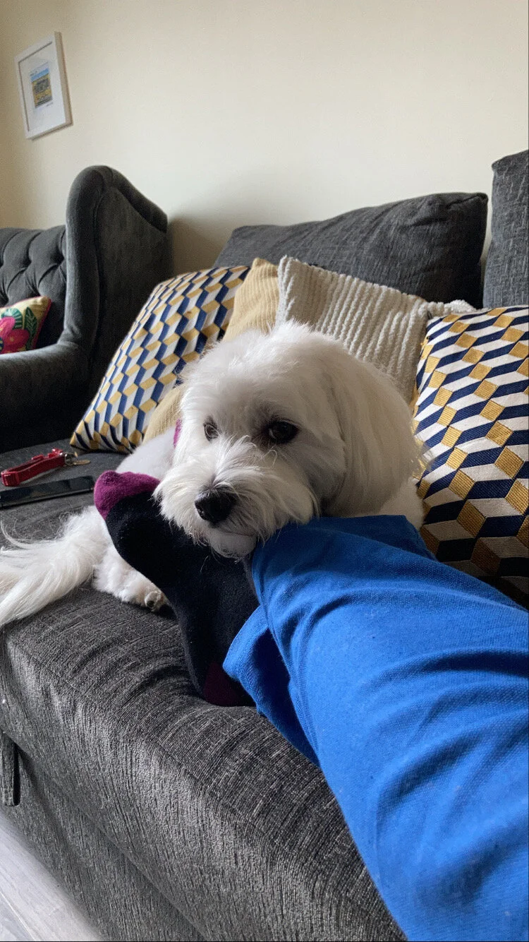 1C1221BD-4BDD-4C0F-952E-285B869E9407