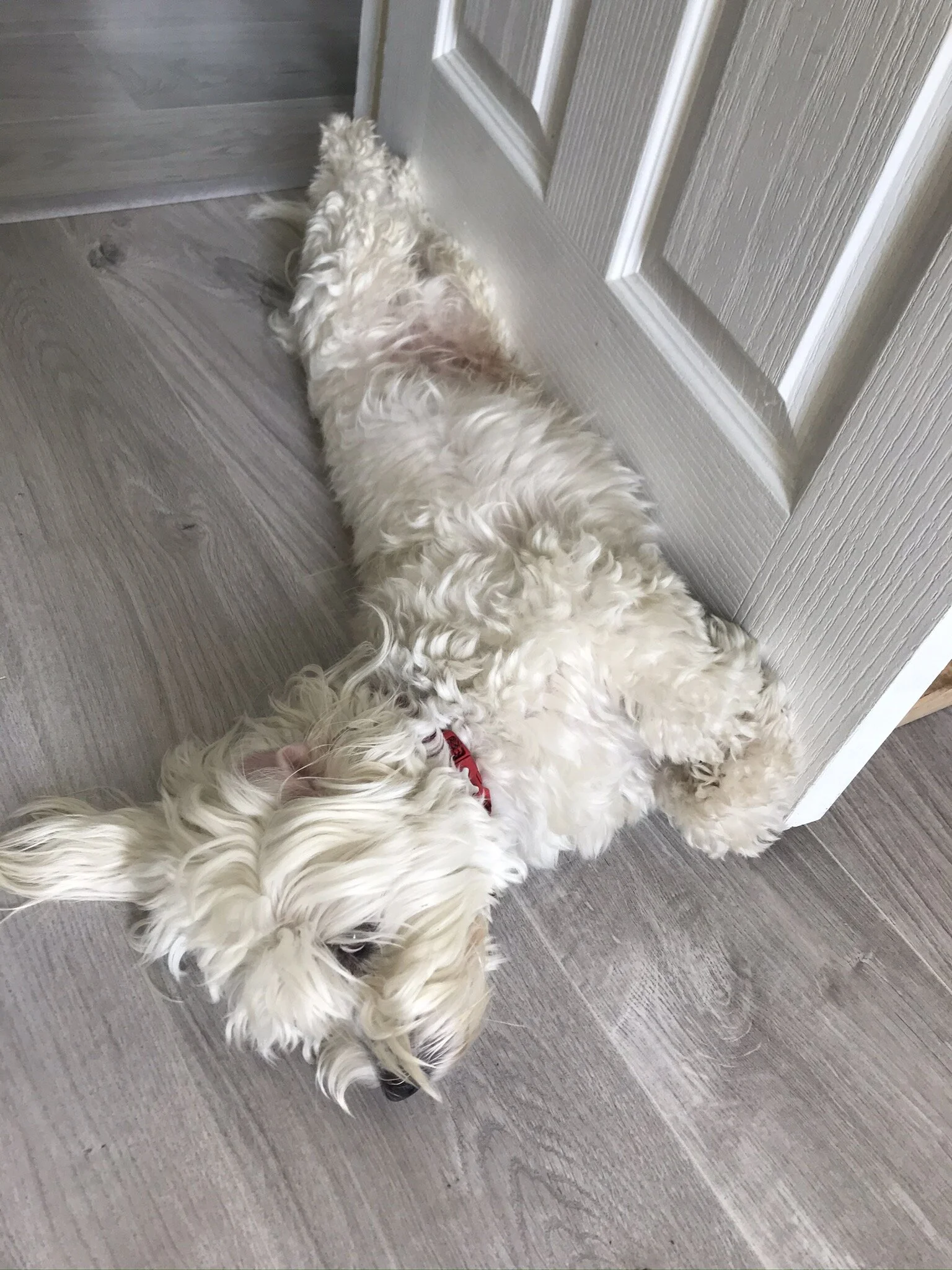 5A9F5EFD-1823-49BC-9046-289D7545008E