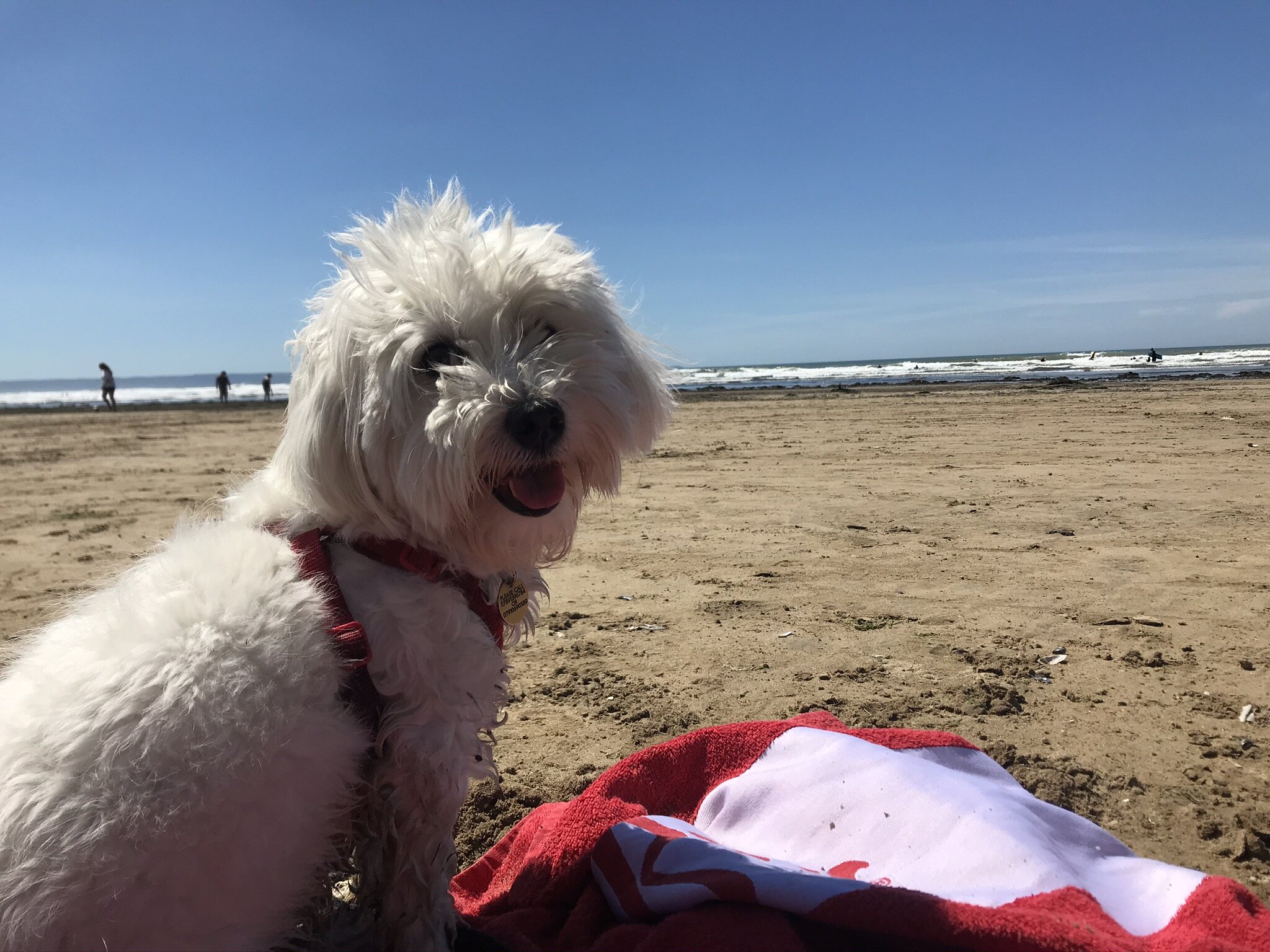 B97D4D96-6A93-4C6C-A24E-2809C435E99B