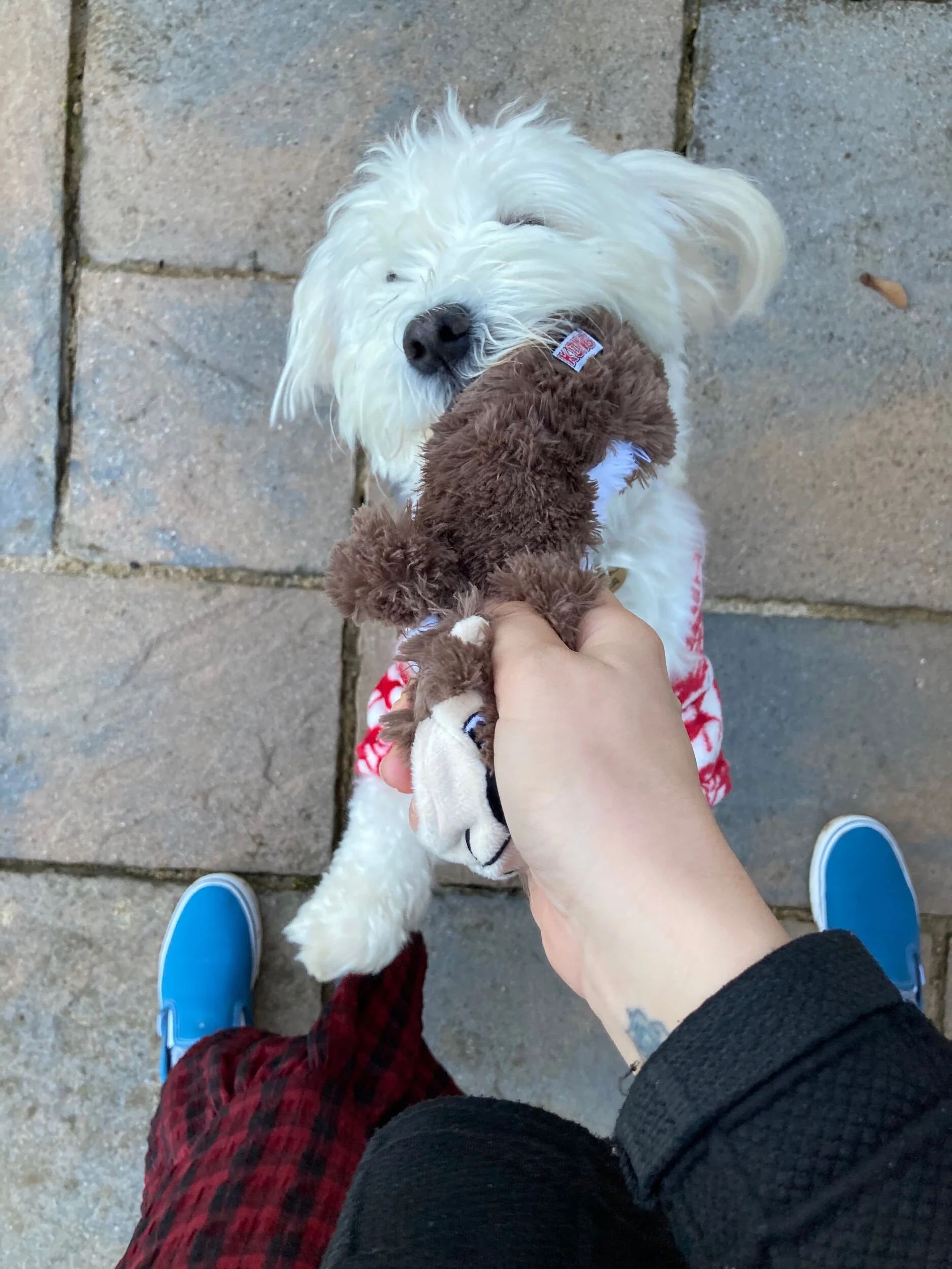 864FA75D-ECCC-4F79-804F-9FEF8F739AFF