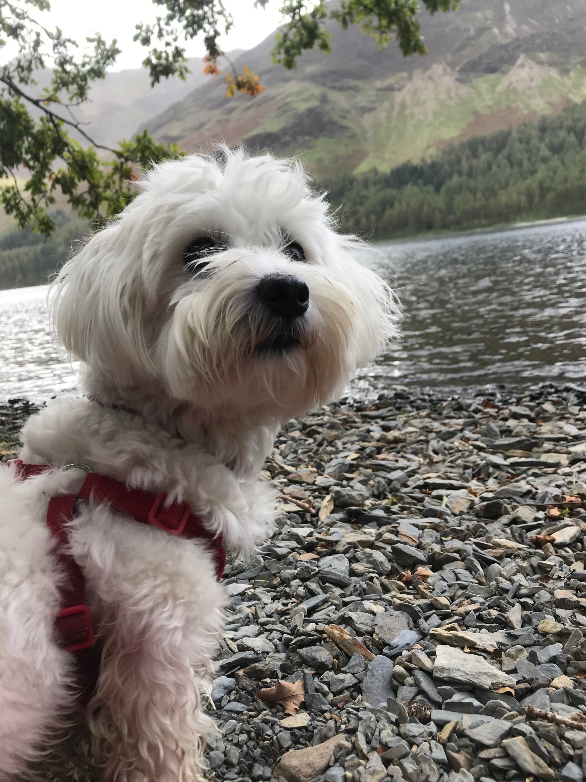 0FC3A72C-D66E-45F0-BCA4-AD0F25CB5B7F