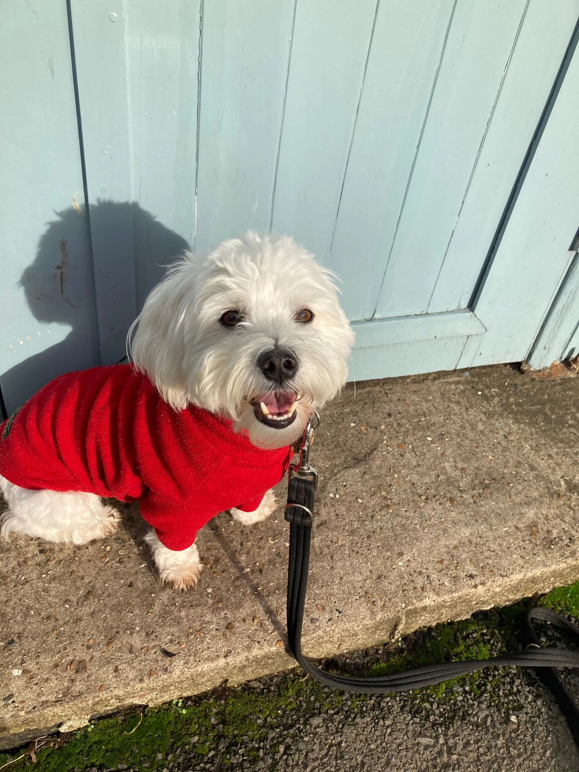 683DB753-A2FB-49BC-94FF-18B19504A0D1