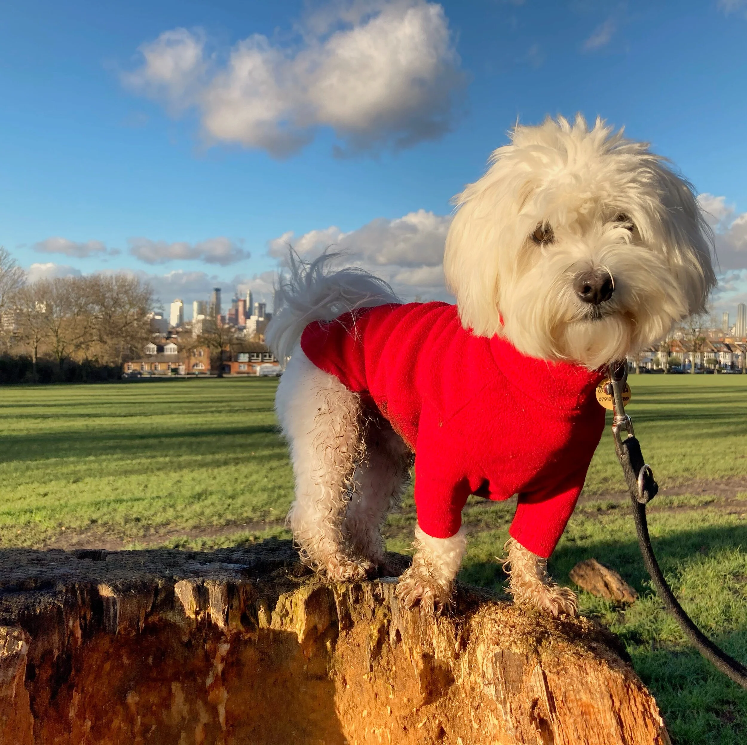 57C8D4B0-F76E-4E19-8CED-1CE1C8C22101