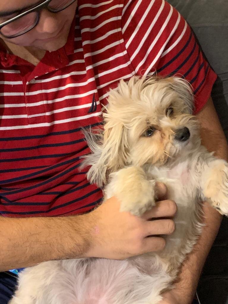 90929E61-AA3C-4D85-822B-2EDF30293B9D