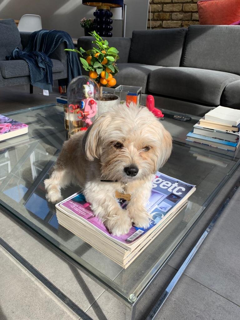 604DB28D-F3EB-459E-8219-50A9DEB6F8C4