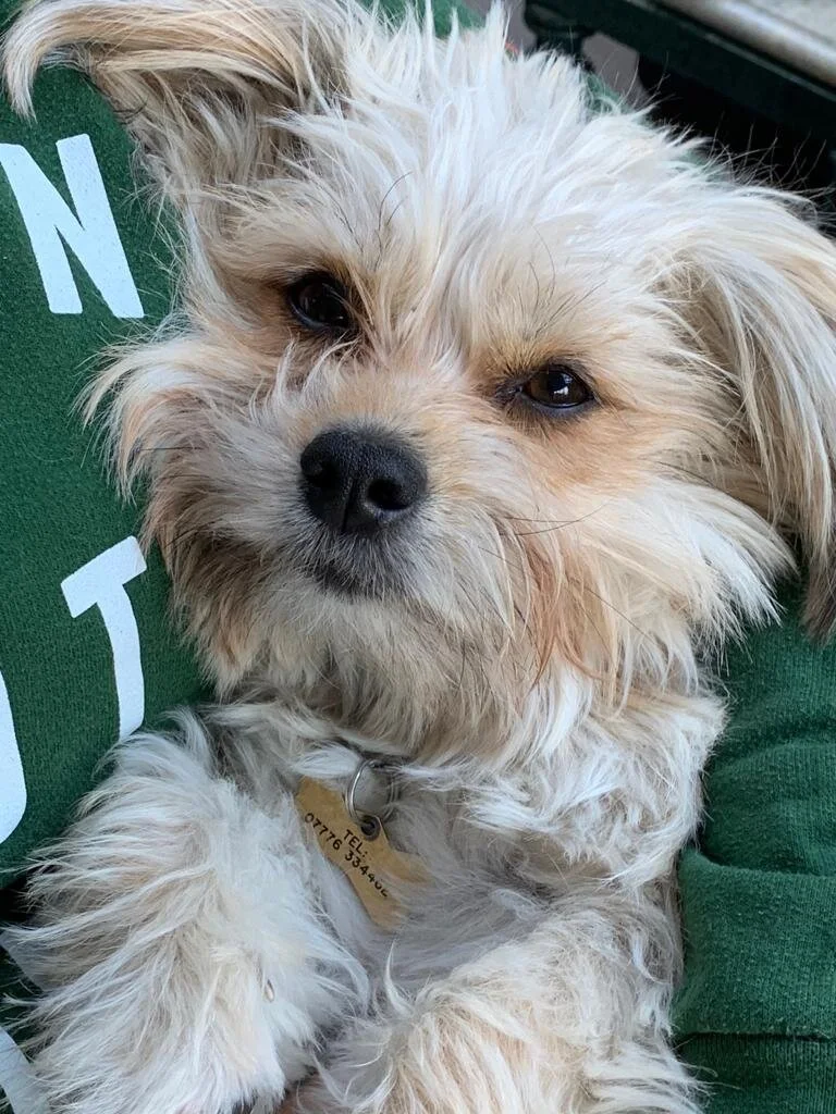 65A7FA0C-42C8-4C6F-8007-18C3E33C7A6B