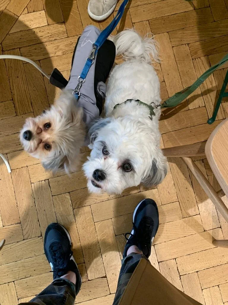 3F724C6B-6246-4E82-89B0-49E56647D502