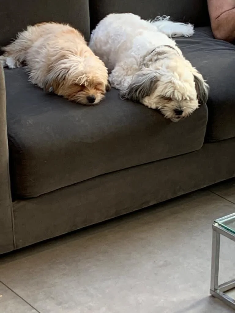 1142041D-E695-468A-89DE-2702F54BD036