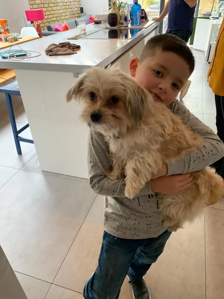 E3AD56B2-106B-4AEC-94A6-DCE286285DCA