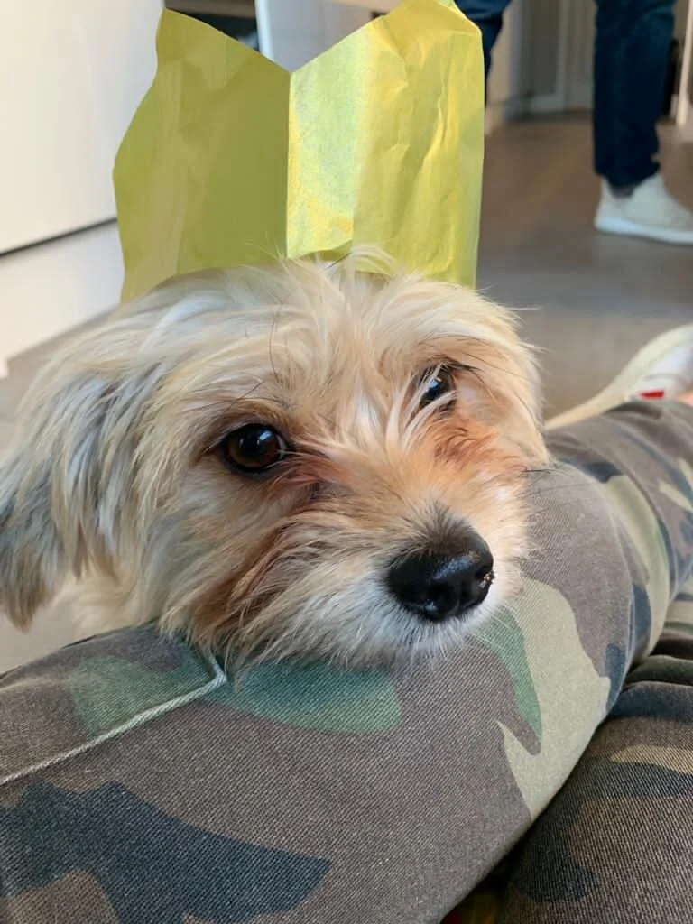 30E59AD2-F8EF-4A61-9321-AC652F65847A