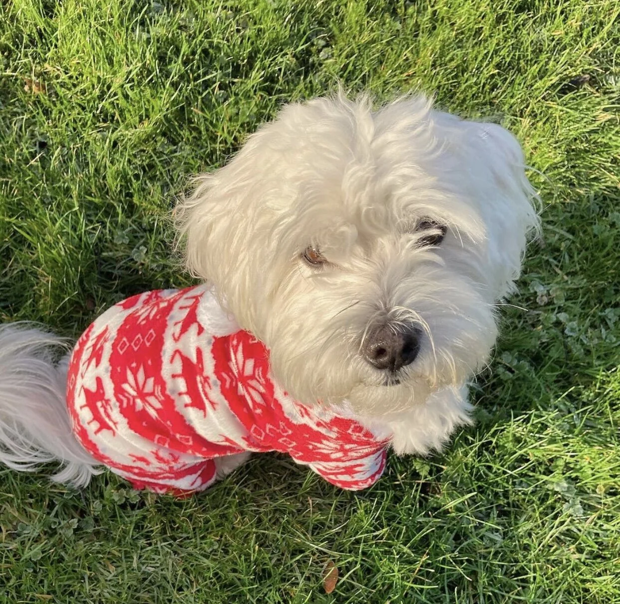 9D30C3E8-D7AF-4550-ADEE-57C9950A1D21