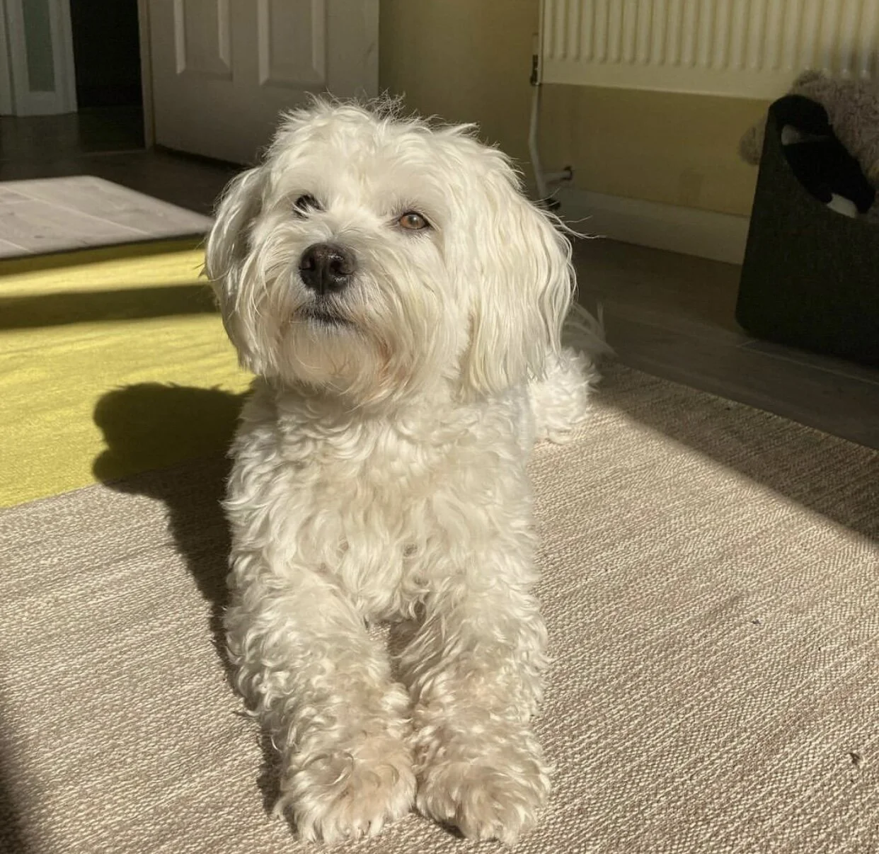 F4A55FCC-D0CA-47BF-BCDB-1A6ABB61BD2D