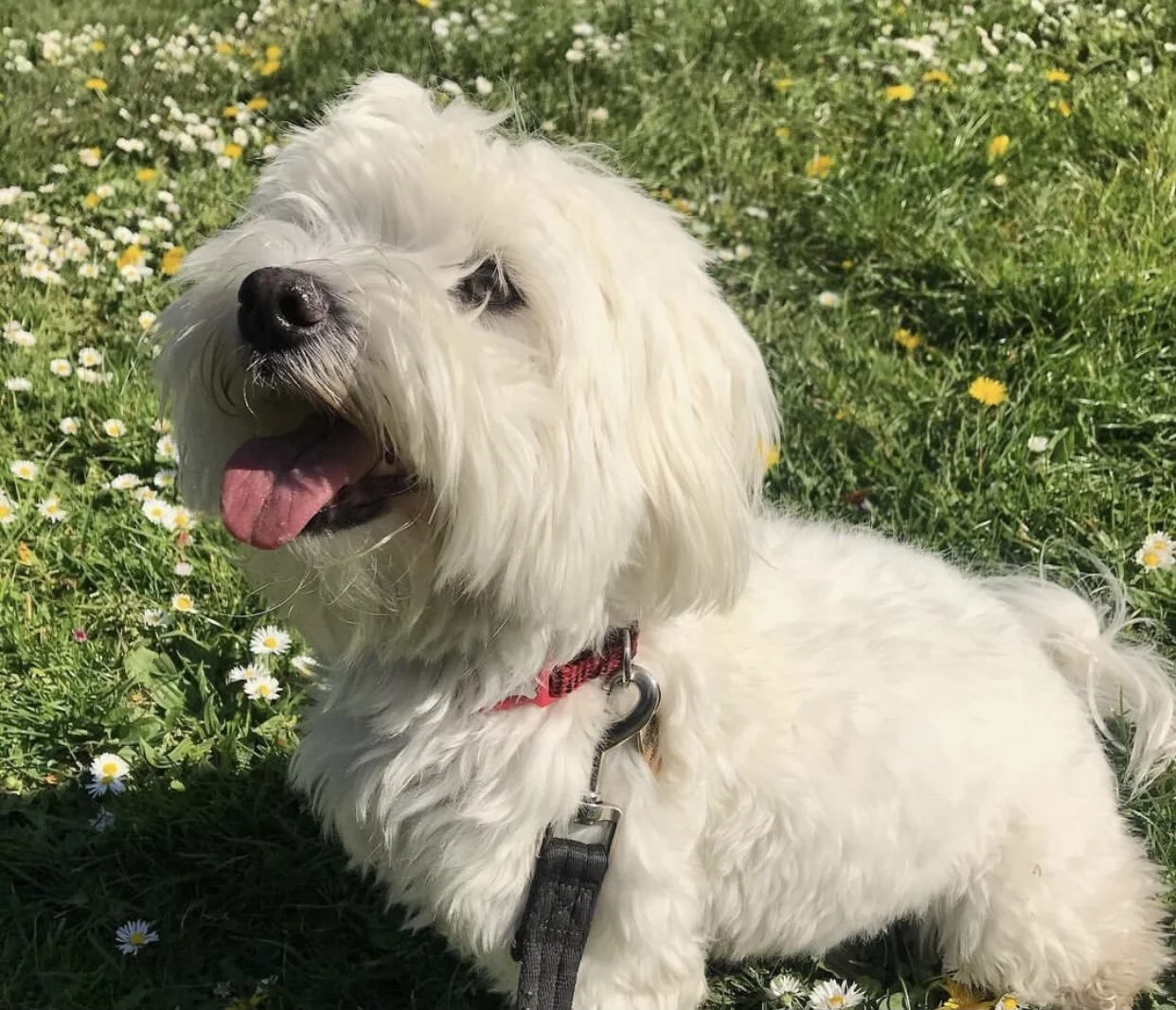 F843B74B-3672-495A-BE2A-1CE009520084