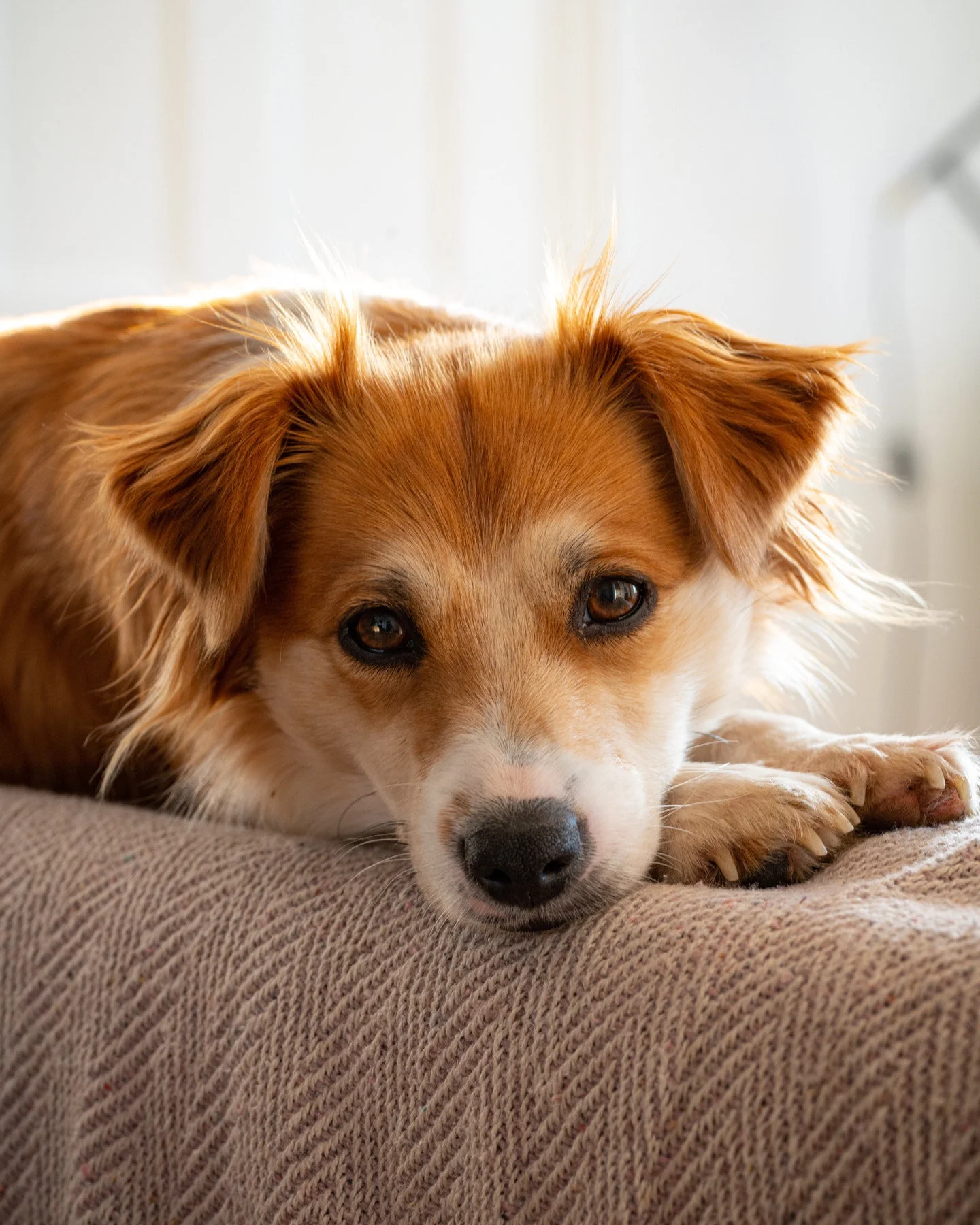 B1B48D4F-C8A1-4DF9-B0FA-F078C8B022E7