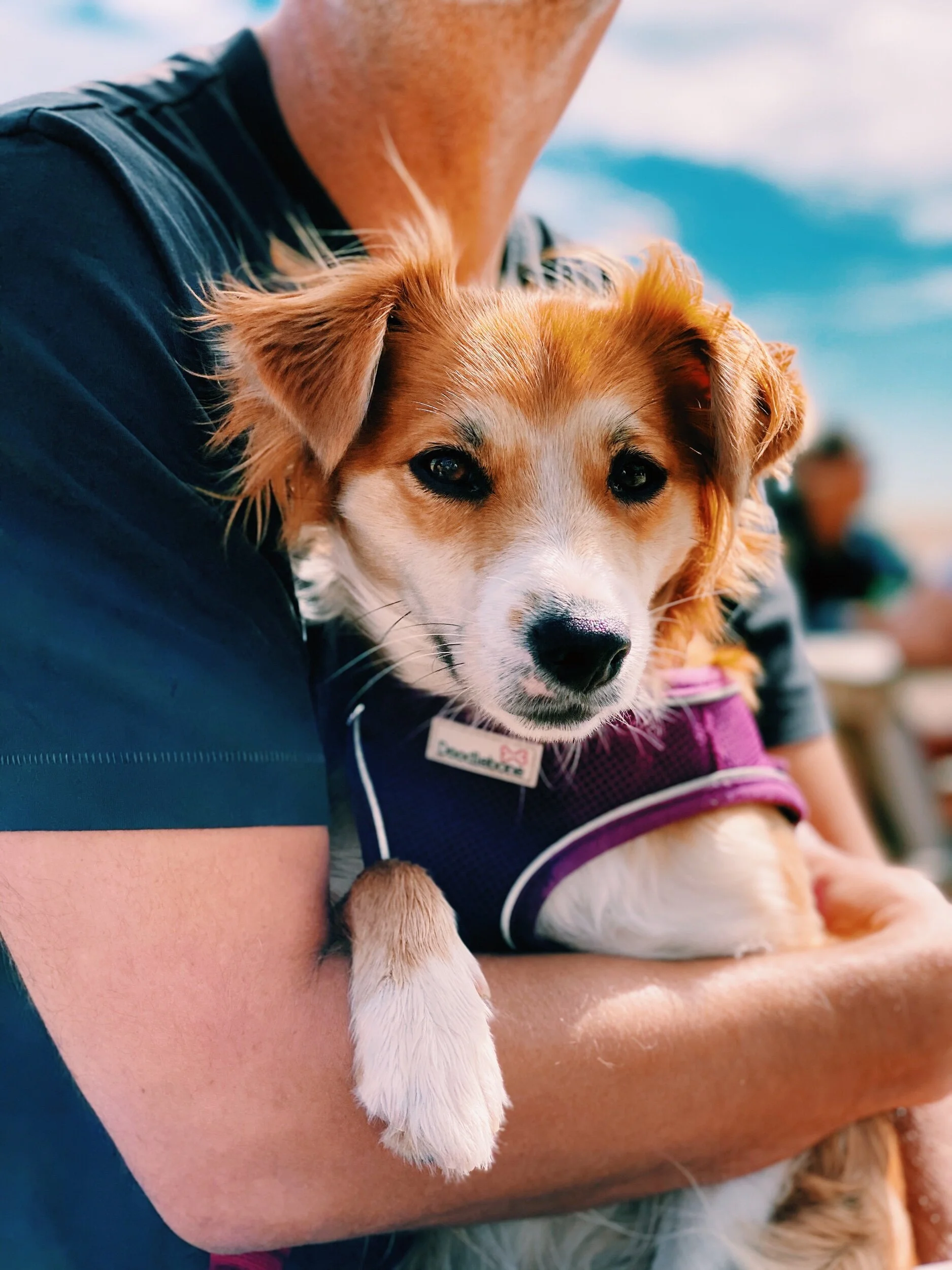 1FC0D8B6-541D-43CA-AC9A-B1A9718356AF