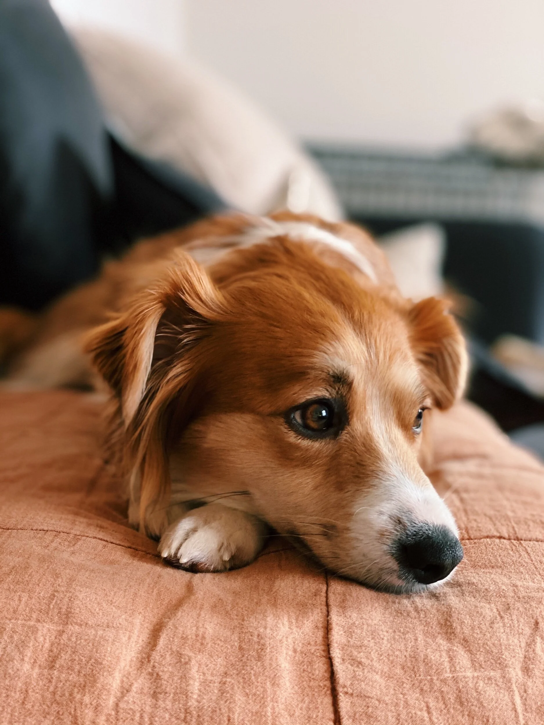 A02B2903-A92F-4708-A0C0-DEC221772677