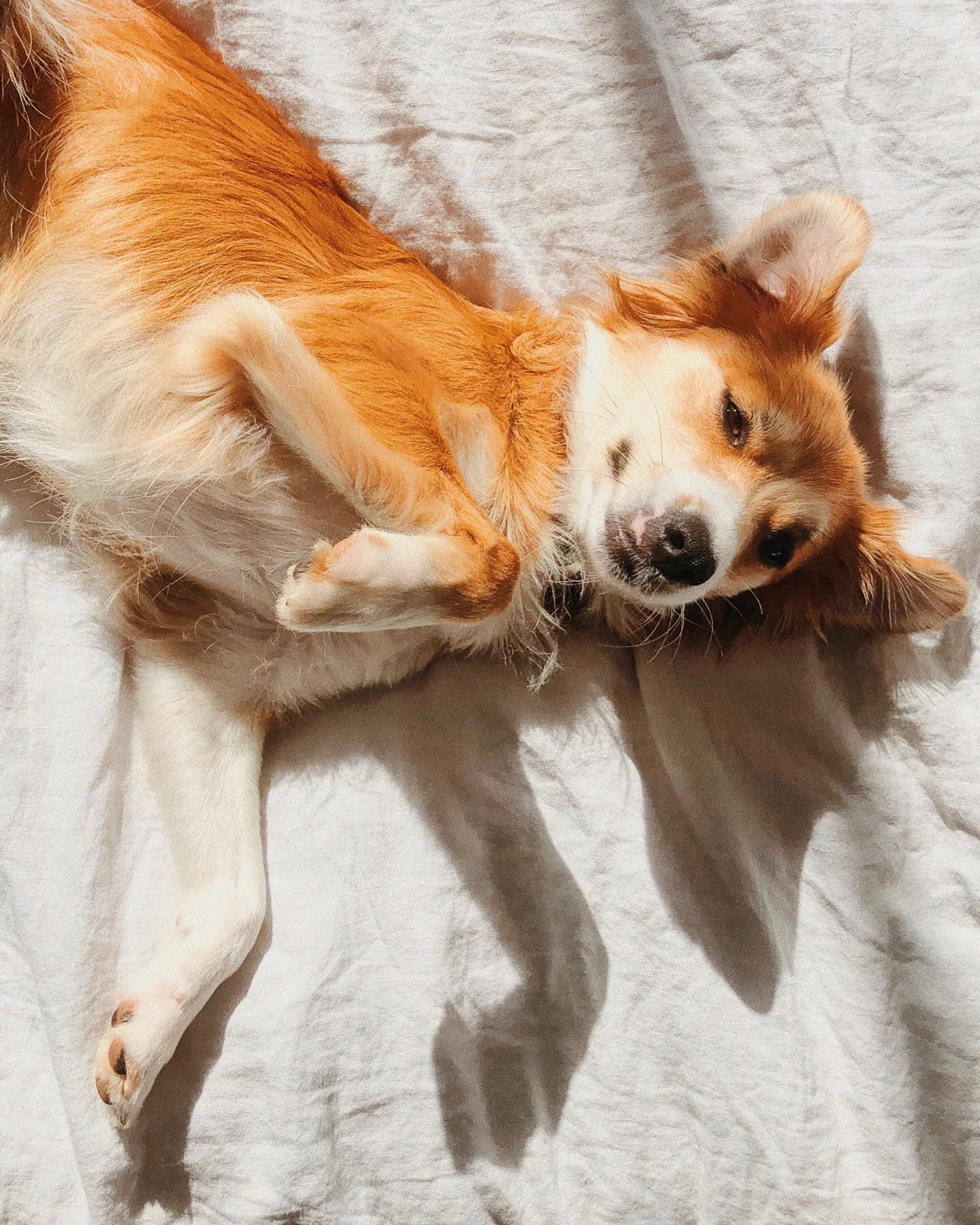 A3BDF096-7BEA-42E0-836F-666AA70363CE