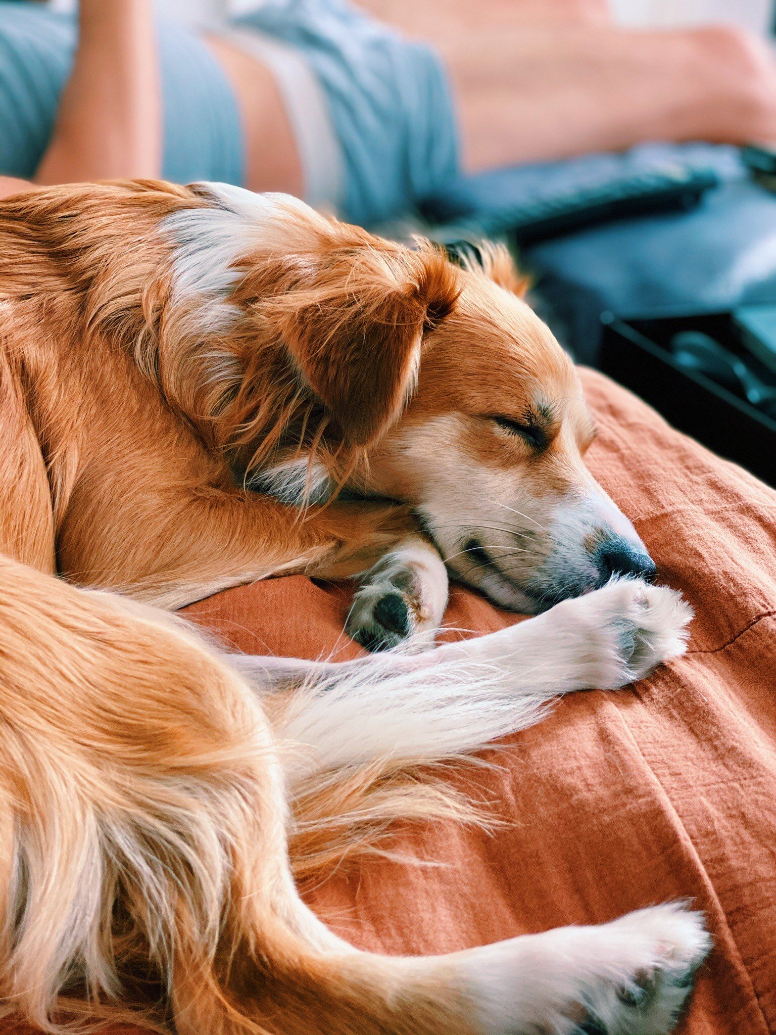 6A005175-D8BC-4434-B06F-ABE92DF7A1C2