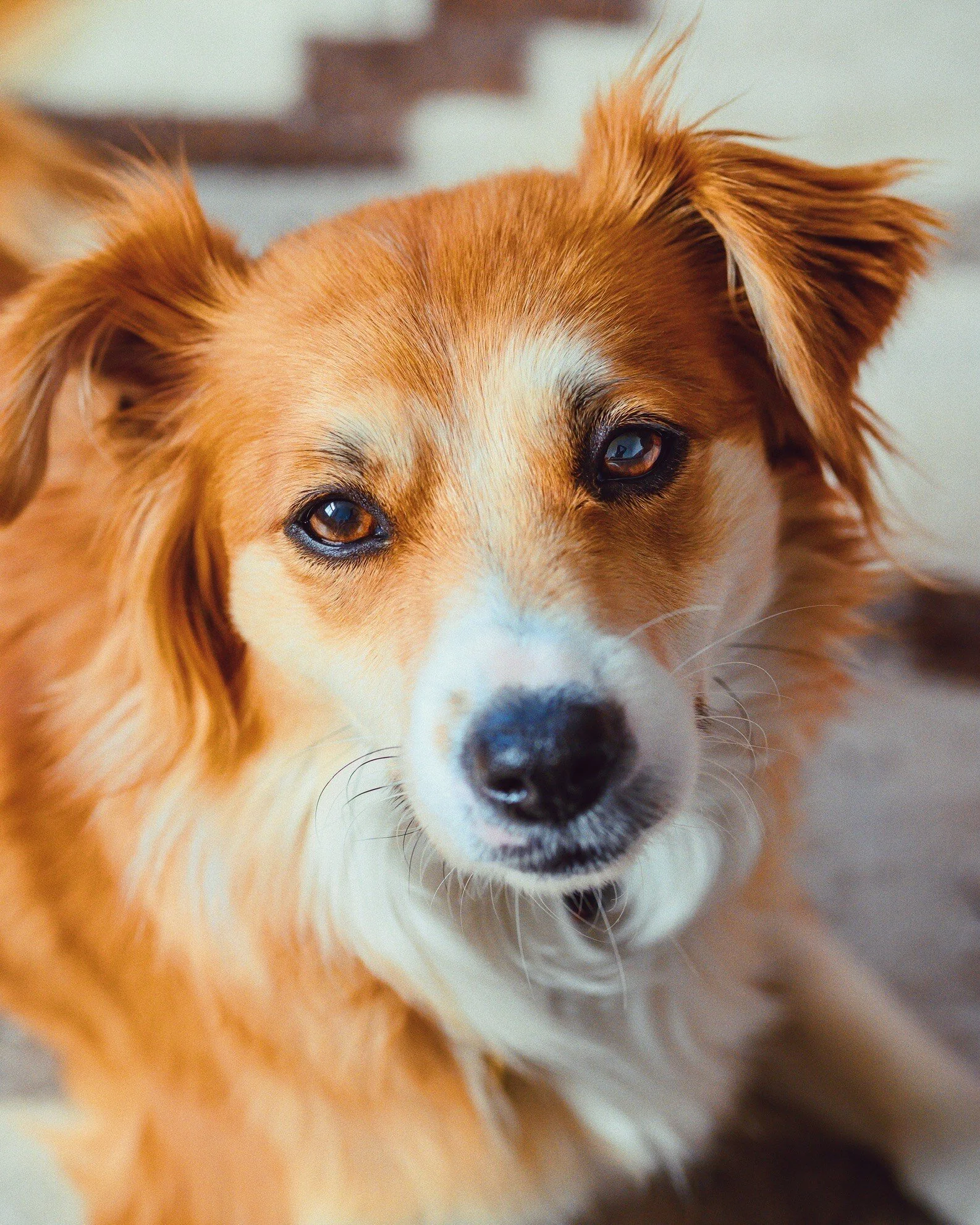 C604798D-BF97-446C-88DC-F185738DC20B