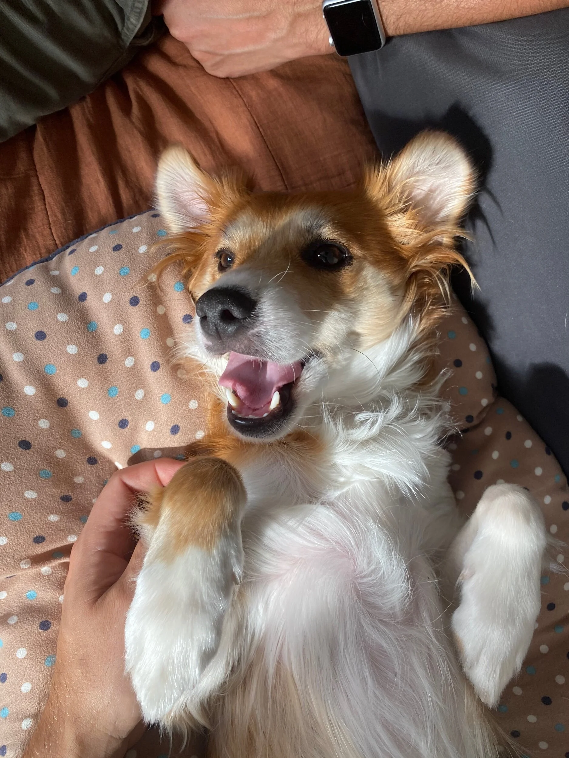 63F91192-ABC3-4E23-A99D-73D139385107