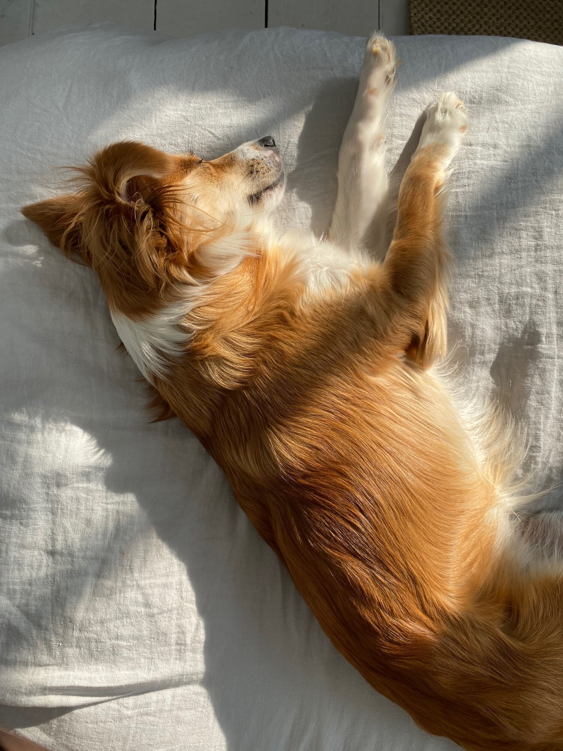 137C7B64-D605-4F4B-A264-6D3A44CD11BF